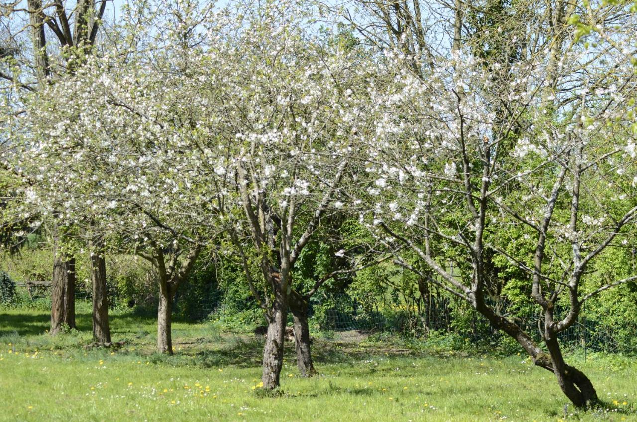 Hamac Et Potager Gite Et Chambre D'Hotes La Chapelle-de-Bragny Dış mekan fotoğraf