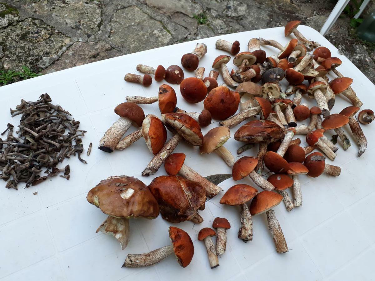Hamac Et Potager Gite Et Chambre D'Hotes La Chapelle-de-Bragny Dış mekan fotoğraf